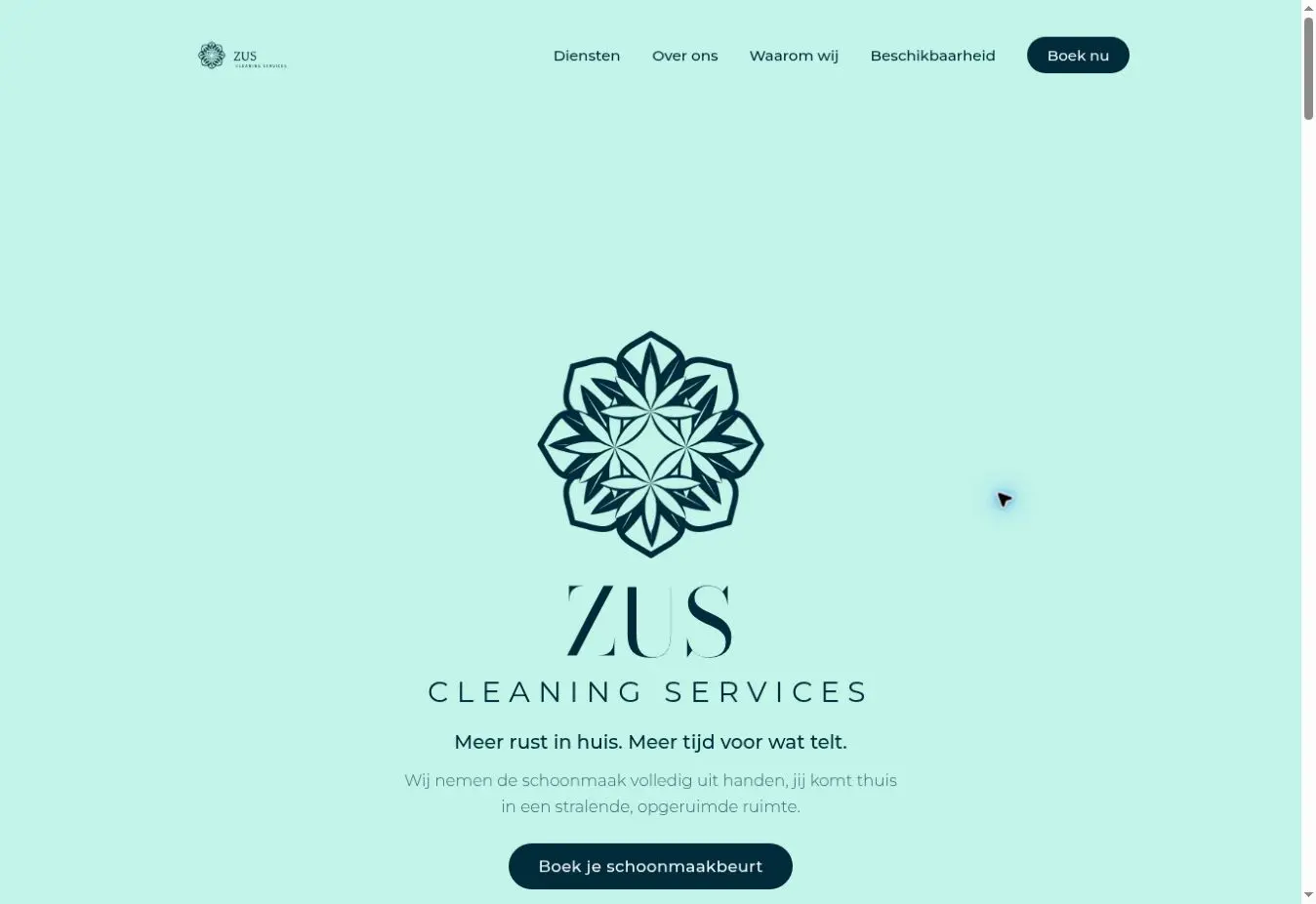 ZUS Cleaning Services